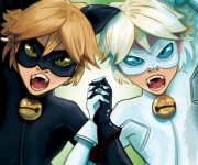 Chat noir and blanc