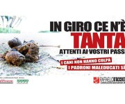 IN GIRO CE N'E' TANTA
