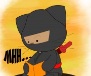 gato6