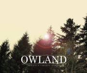 Owland - cover