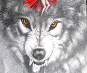 cappuccetto rosso e il lupo - tecnica: matite