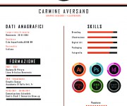 CV 2