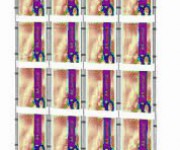 Espositore multimessaggio