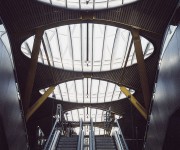 borzacchimages