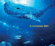 LAYOUT_SEAT_balena