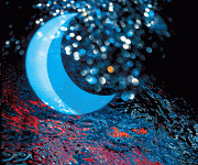 2 notturno