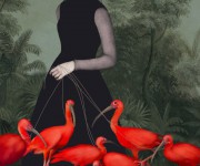 The lady of the ibis