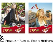 pringles__pannelli_2