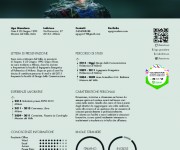 Curriculum Ugo Giacalone