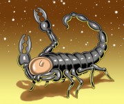 scorpione