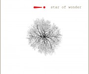 cover of star of wonder compilation