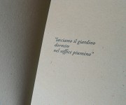 L'anno del giardiniere - libro visivo