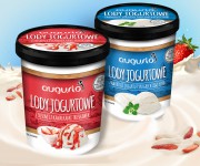 Lody Special500ml_Augusto_11_05