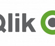 logo-QlikTech-MARCHI FAMOSI TONDI