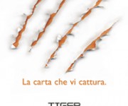 Burgo Distribuzione > Tigre