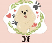 Cloe