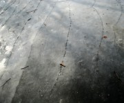 dsc0127