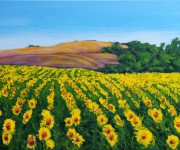 Provence and sunflowers
