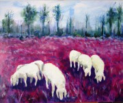 Sheep on red
