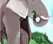 anim elefante