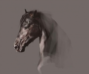 Horse_DigitalGraphite