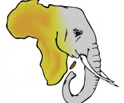 Animali D'Africa