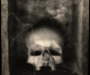 Augusto De Luca. Skulls 12.