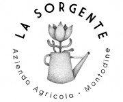 Logo La Sorgente
