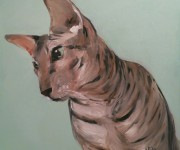 One night sketch - Sphinx cat
