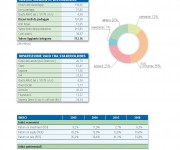IVCA Bilancio Relazione Annuale 2008